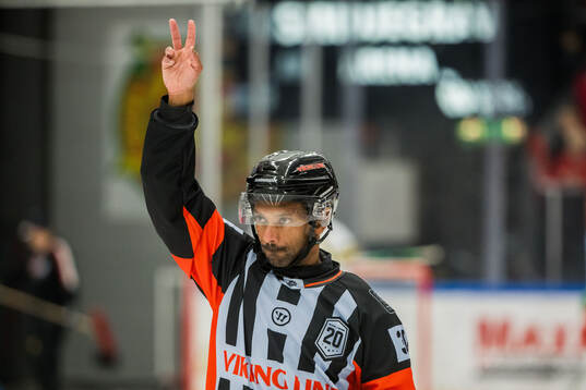 Domare Fredrik Rönnberg