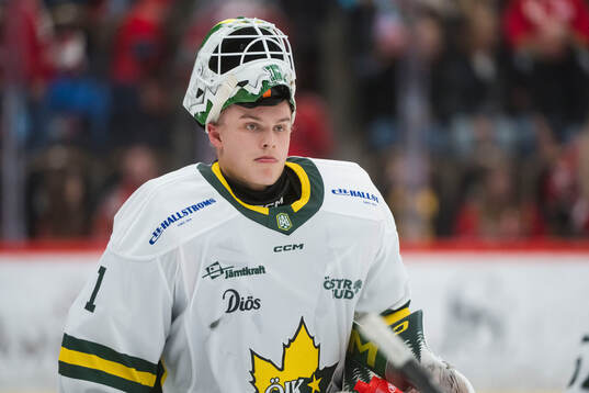 Östersunds målvakt Carl Lidö deppar