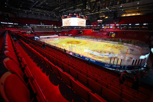 Monitor ERP Arena