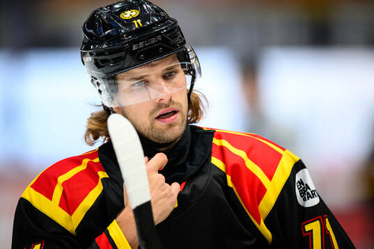 Brynäs Axel Jonsson-Fjällby