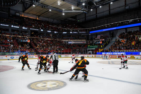 Monitor ERP Arena
