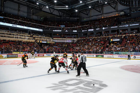 Monitor ERP Arena