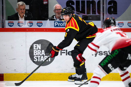 Brynäs Christian Djoos