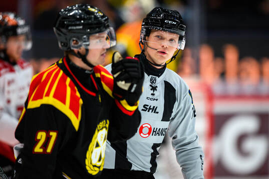 Linjedomare William Henriksson