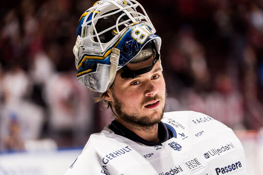 HV71s målvakt Frederik Dichow