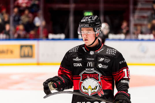 Malmö Redhawks Petter Vesterheim