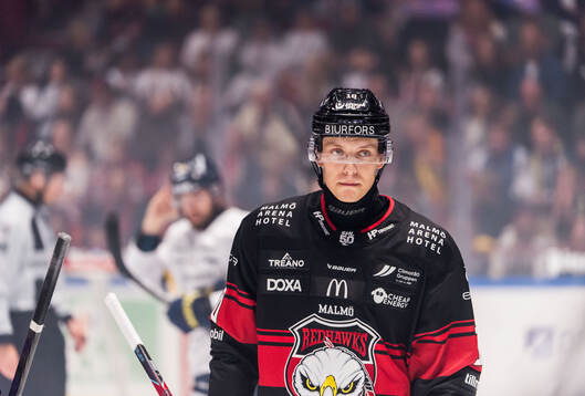 Malmö Redhawks William Von Barnekow deppar