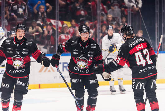 Malmö Redhawks William Von Barnekow, Fredrik Händemark