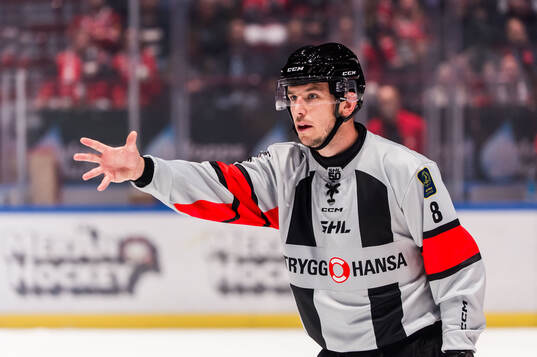 Domare Oscar Niklasson