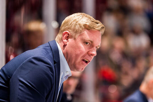 HV71s tränare Anton Blomqvist