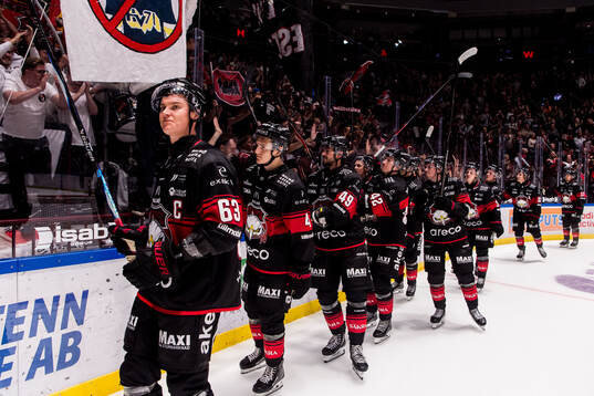 Malmö Redhawks spelare jublar