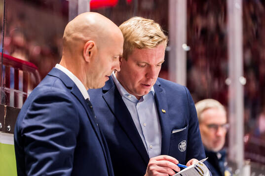 HV71s tränare Anton Blomqvist