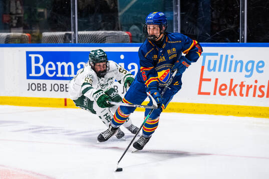 Färjestads Nova Ryen och Djurgårdens Linda Vocetkova