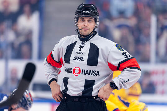 domare Johan Wedin