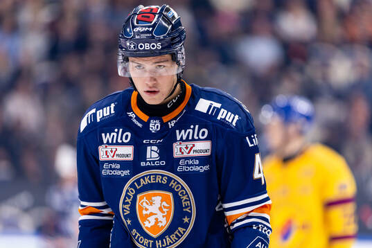 Växjös Leo Sahlin Wallenius