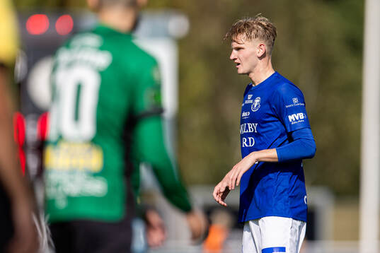 Trelleborgs Karl Wendt