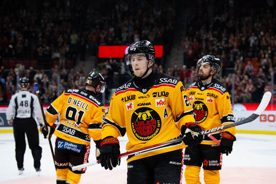 Luleås Jesper Sellgren deppar