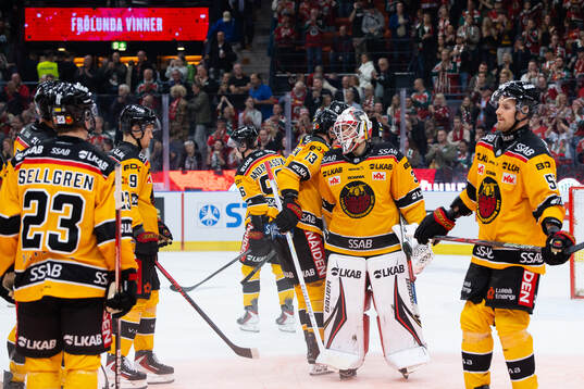 Luleås målvakt Matteus Ward deppar