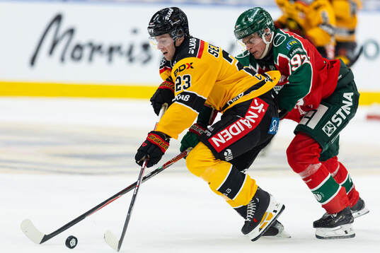 Luleås Jesper Sellgren och Frölundas Filip Cederqvist