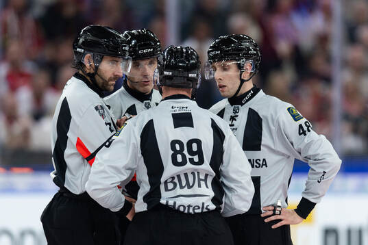 Domare Mikael Sjöqvist, Domare Richard Magnusson,
