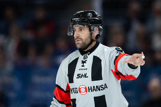 Domare Mikael Sjöqvist