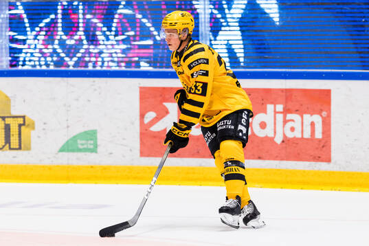 Skellefteås Zeb Forsfjäll