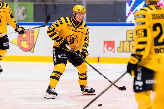 Skellefteås Zeb Forsfjäll