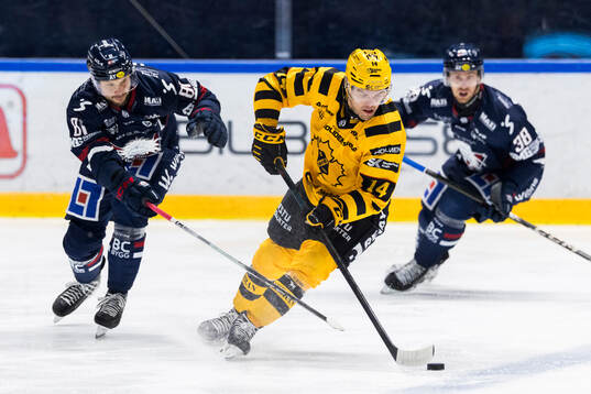 Linköpings Theodor Lennström och Skellefteås Andreas