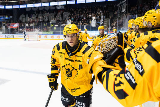 Skellefteås Rickard Hugg jublar