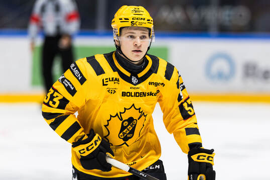 Skellefteås Zeb Forsfjäll