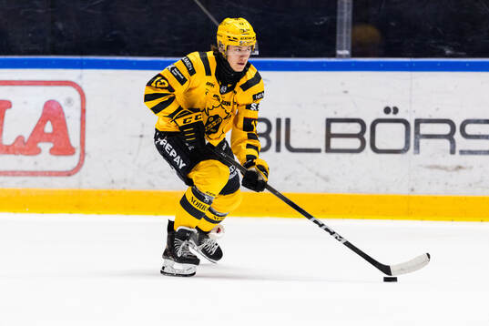 Skellefteås Valter Lindberg