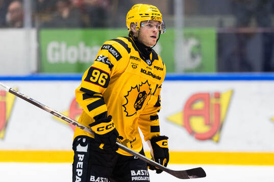 Skellefteås Rickard Hugg jublar
