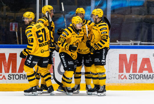 Skellefteås Rickard Hugg jublar