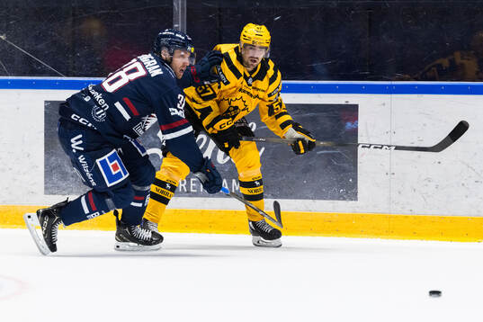 Linköpings Johan Södergran och Skellefteås Emil Djuse