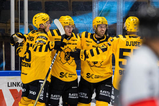 Skellefteås Rickard Hugg jublar