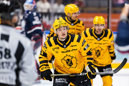 Skellefteås Victor Stjernborg jublar