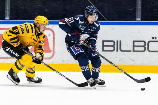 Skellefteås Victor Stjernborg och Linköpings Markus Ljungh
