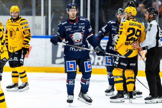 Linköpings Christoffer Ehn