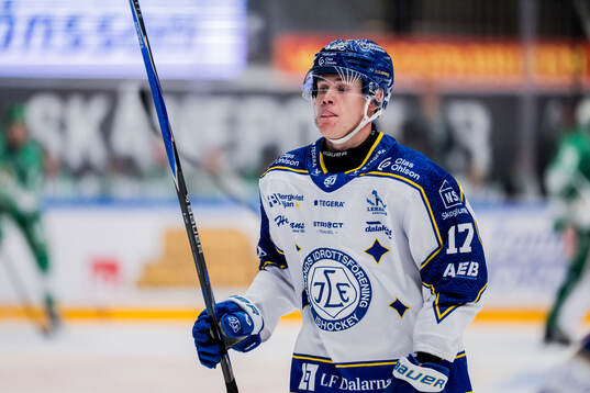 Leksands Dennis Altörn