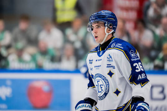 Leksands Stefan Milosevic