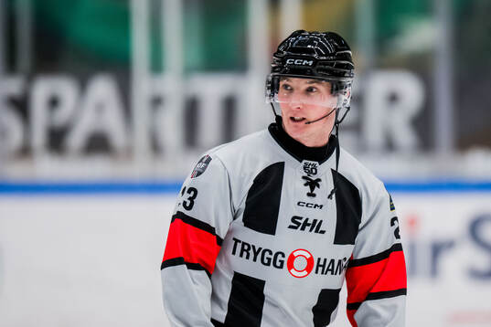 Domare Alexander Österberg
