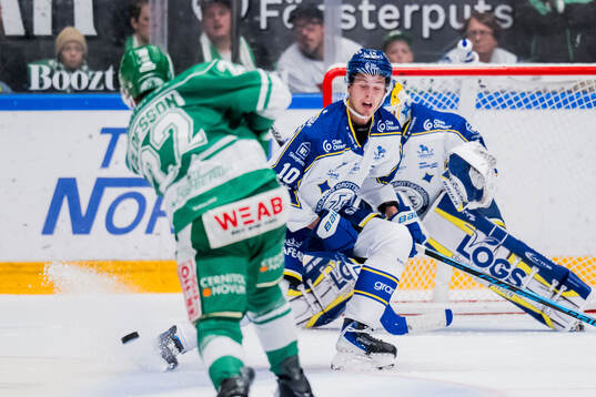 Leksands Anton Johansson