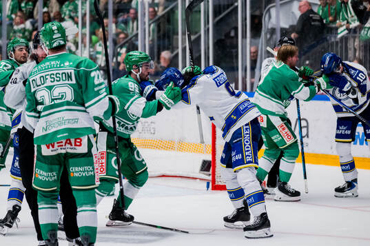 Rögles Mark Friedman och Leksands Gabriel Fortier
