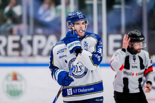 Leksands Stefan Milosevic lämnar isen