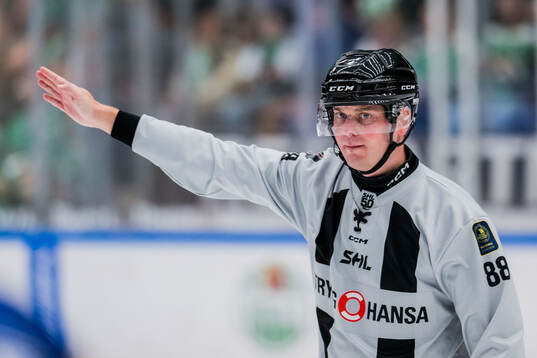 Linjedomare Daniel Persson