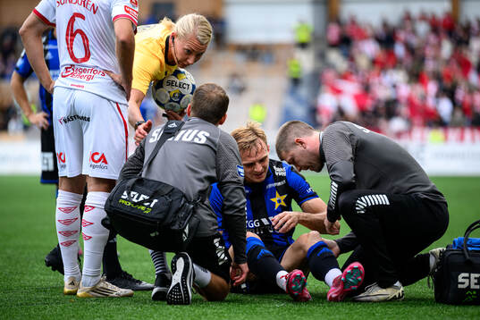 Sirius Oscar Krusnell får vård