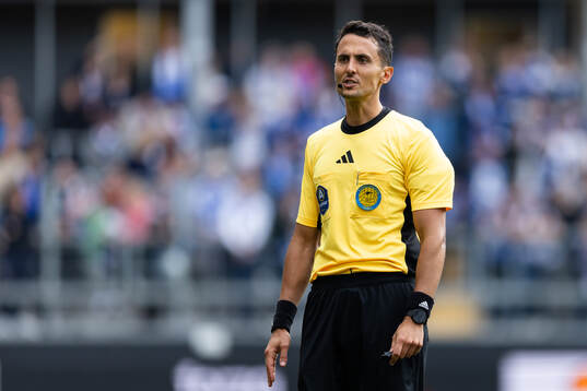 Domare Adi Aganovic