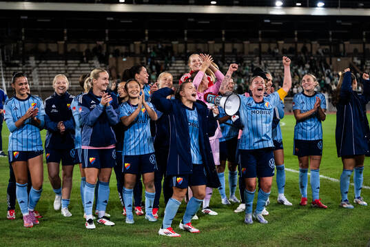 Djurgårdens spelare jublar