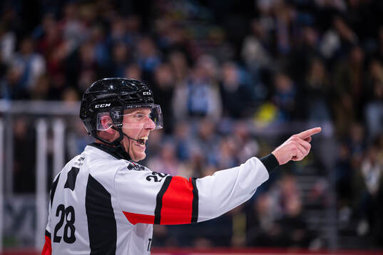 Domare Mikael Holm