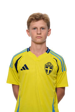 Elton Engvall
